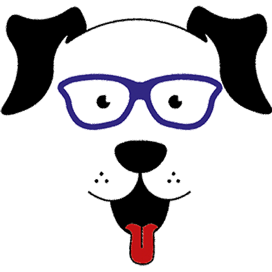 Lagotto Romagnolo vom Brünnle